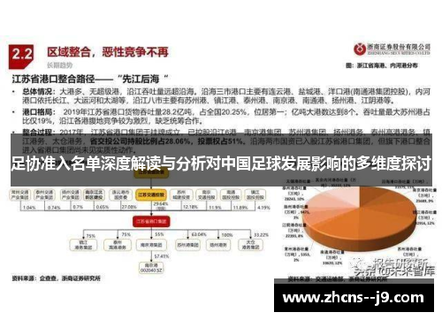足协准入名单深度解读与分析对中国足球发展影响的多维度探讨 足协准入名单深度解读与分析对中国足球发展影响的多维度探讨