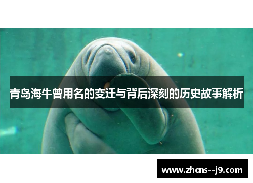 青岛海牛曾用名的变迁与背后深刻的历史故事解析 青岛海牛曾用名的变迁与背后深刻的历史故事解析