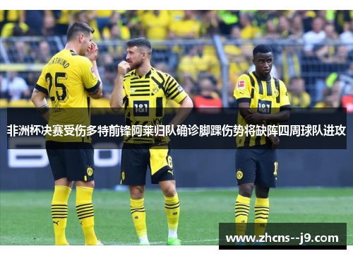 非洲杯决赛受伤多特前锋阿莱归队确诊脚踝伤势将缺阵四周球队进攻 非洲杯决赛受伤多特前锋阿莱归队确诊脚踝伤势将缺阵四周球队进攻